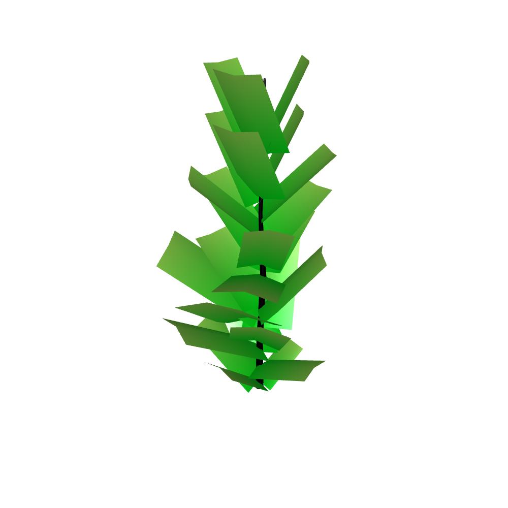 Ficus.jpeg