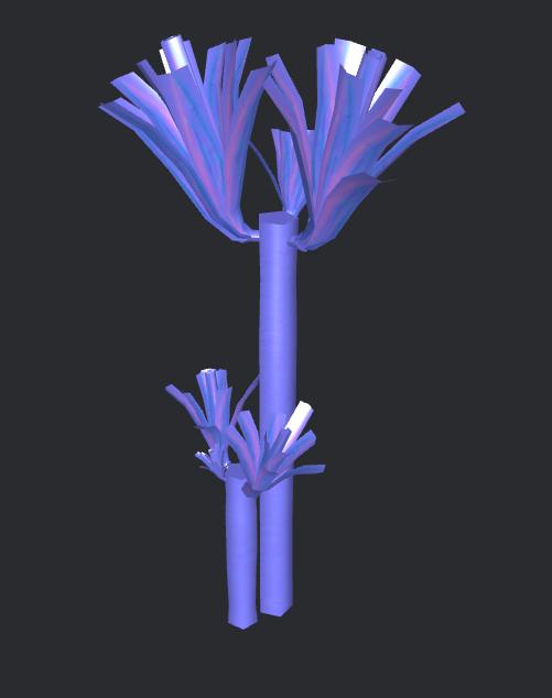 Yucca.jpeg
