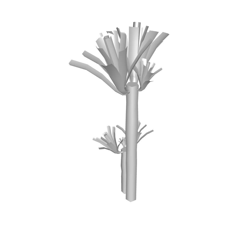 Yucca1.jpeg